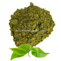 Bio -grüner Teepulver für Teemassen
